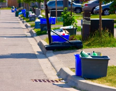 Professional waste removal team at work